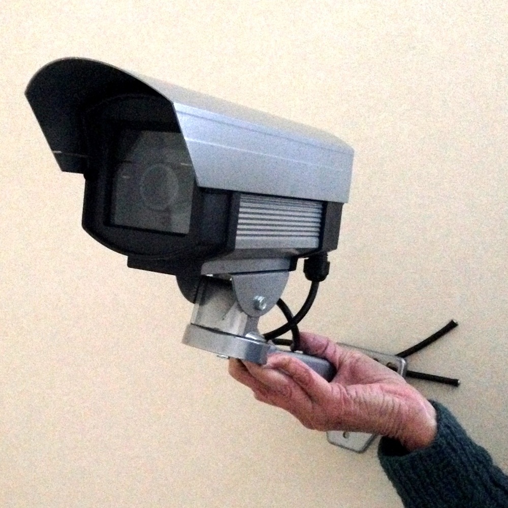 NWOT 8” Dummy Camera w/ Outdoor Housing and Light